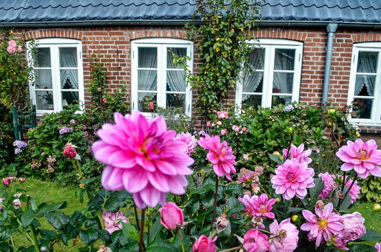 Hof Diederichs Bohmstedt Ngoại thất bức ảnh